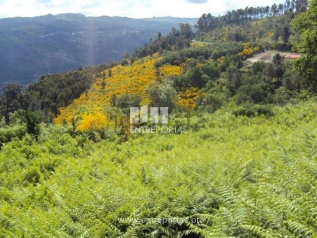 Casa venda em Lagarelhos, Cinfães