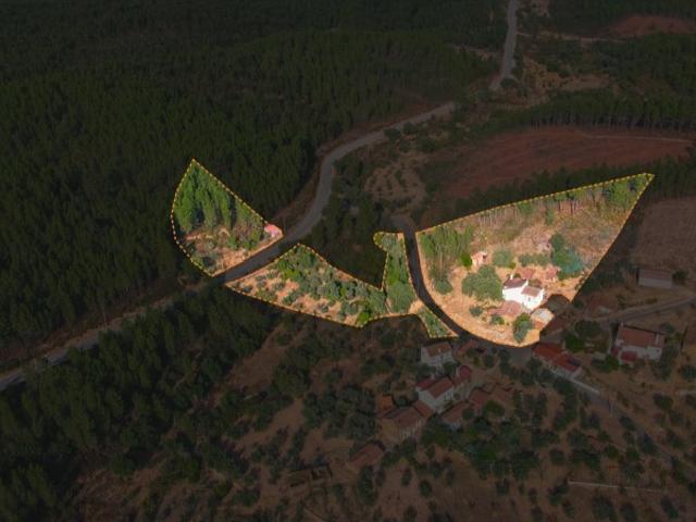 Quinta venda em Castelo Branco