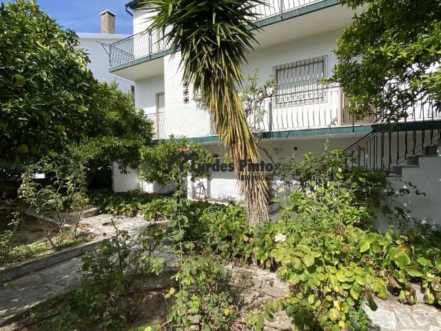 Casa venda em Castelo Branco