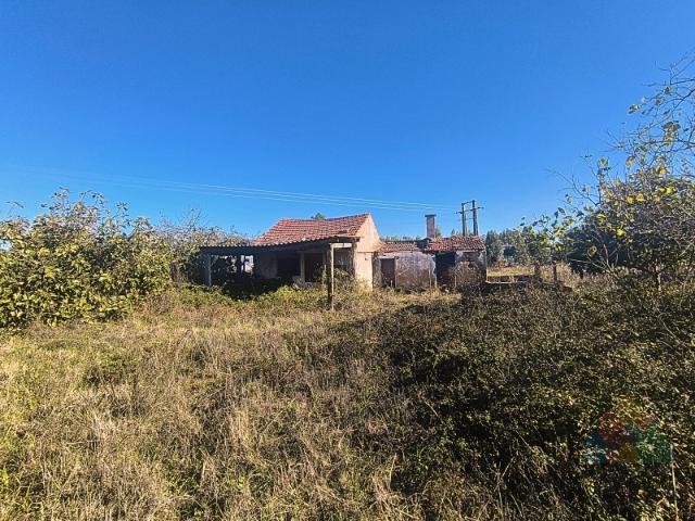 Casa venda em Entroncamento, Nossa Senhora De Fátima