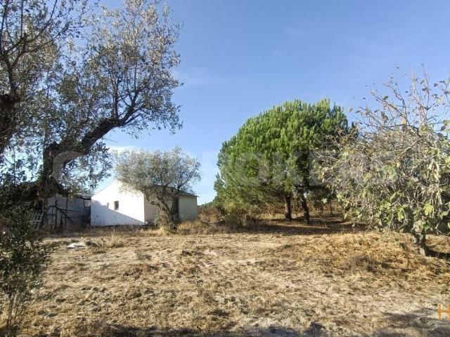 Casa venda em Coruche, Santarém