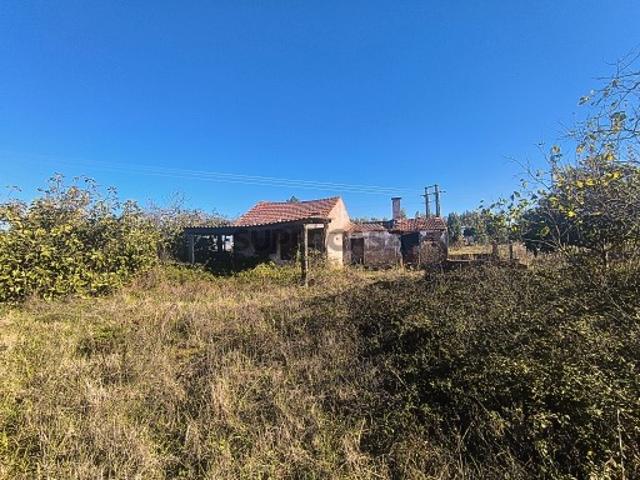 Casa venda em Entroncamento, Nossa Senhora De Fátima