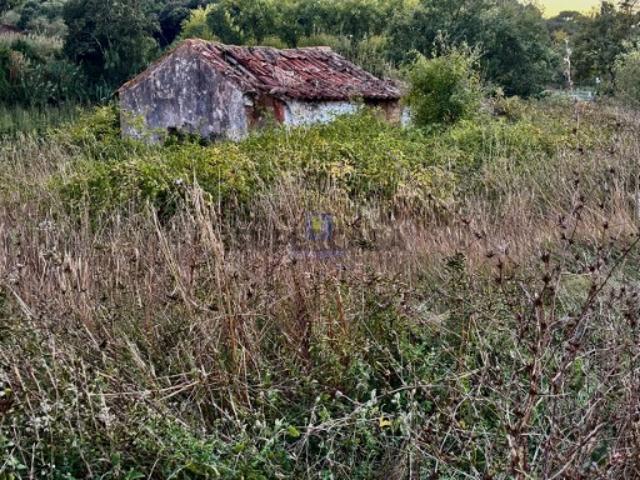 Casa venda em Casais da Mata Rica, Óbidos