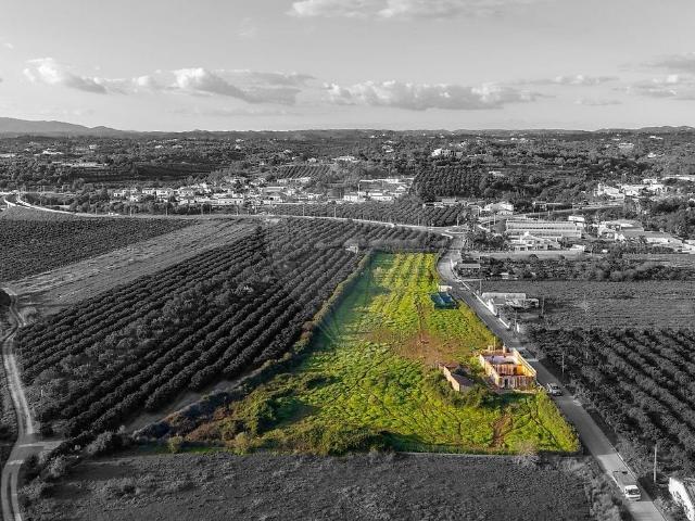 Quinta venda em Silves, Faro