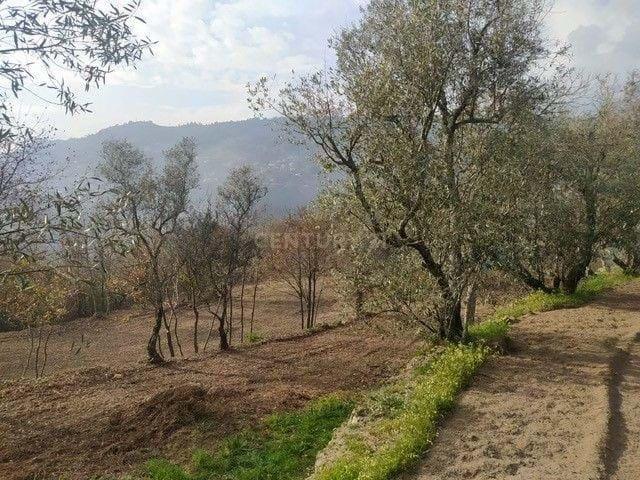 Casa venda em São Cristóvão De Nogueira, Viseu