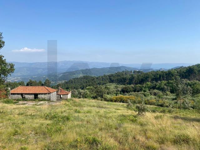 Quinta venda em Celorico De Basto, Braga