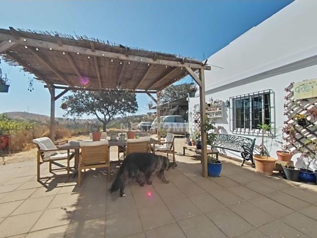 Casa venda em Almodôvar, Beja