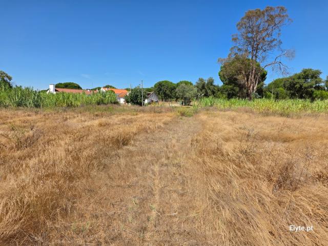 Casa venda em Coruche, Santarém