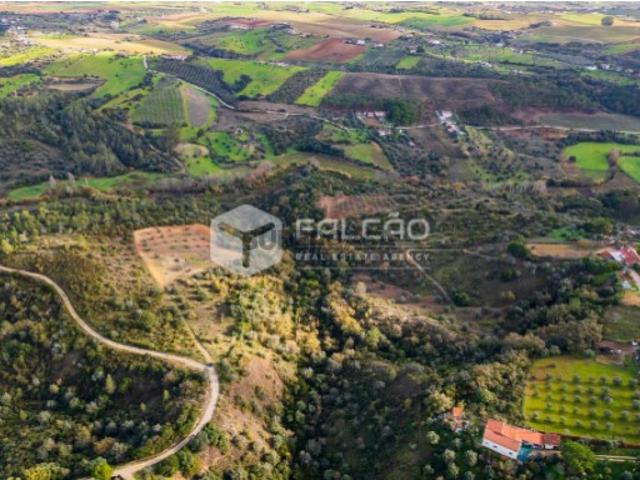 Terreno venda em Outeiro de Alfazema, Santarém