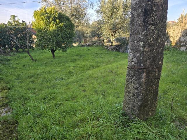 Casa venda em Loureiro, Viseu