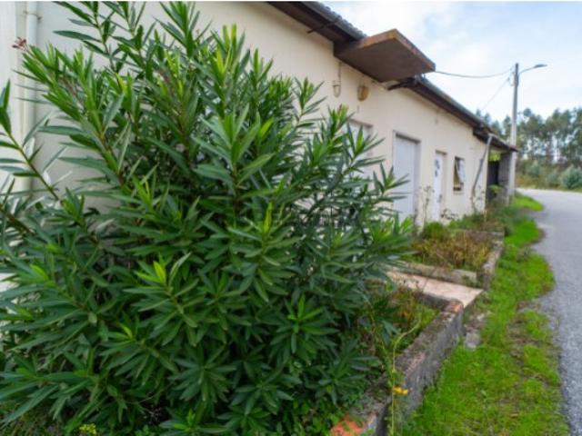 Casa venda em Pombal, Leiria