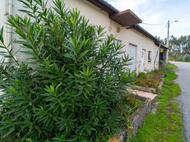 Casa venda em Pombal, Almagreira
