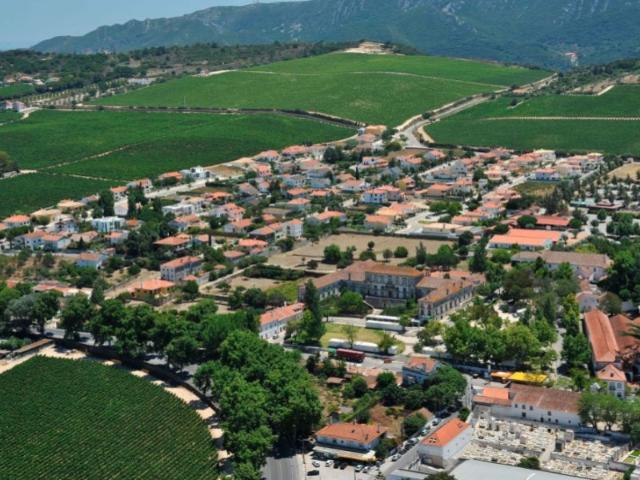 Casa venda em Azeitão (São Lourenço e São Simão), Setúbal