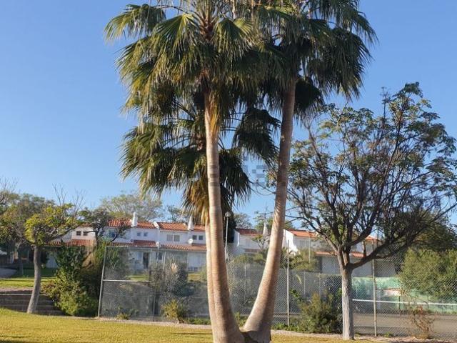 Casa alugar em Albufeira e Olhos de Água, Albufeira