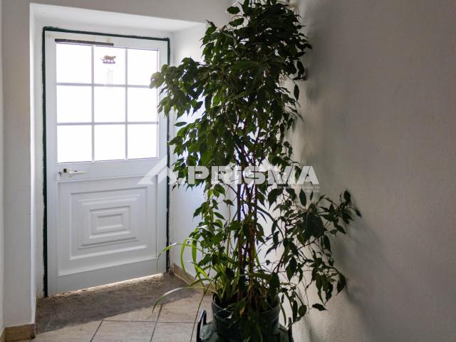 Casa venda em Castelo Branco