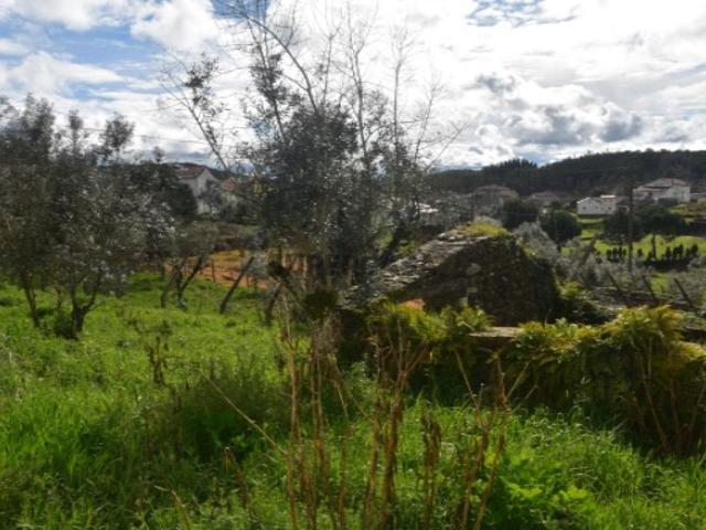 Casa venda em Figueiró Dos Vinhos, Leiria
