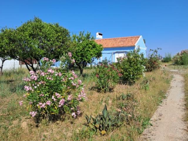 Casa venda em Nossa Senhora do Bispo, Montemor-o-Novo