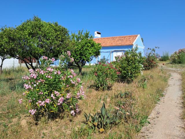 Casa venda em Nossa Senhora do Bispo, Montemor-o-Novo