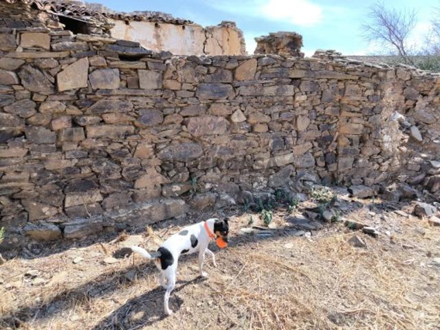 Terreno venda em Tavira, Faro