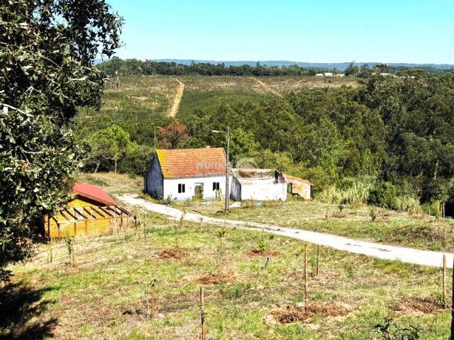 Quinta venda em Casal da Achada, Caldas Da Rainha