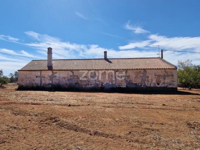 Casa venda em São Martinho Das Amoreiras, São Martinho das Amoreiras