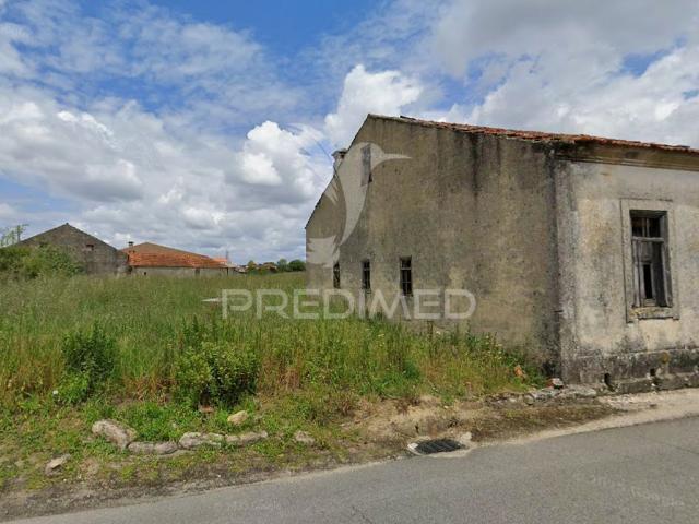 Quinta venda em Oliveira Do Bairro, Aveiro