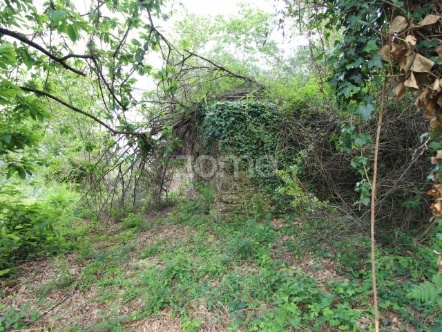 Casa venda em Rebordões (Souto), Boalhosa