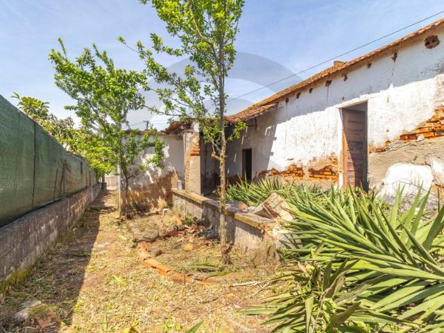 Casa venda em São Pedro De Tomar, Vermoeiros