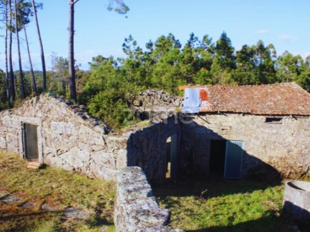 Casa venda em Mourilhe, Viseu