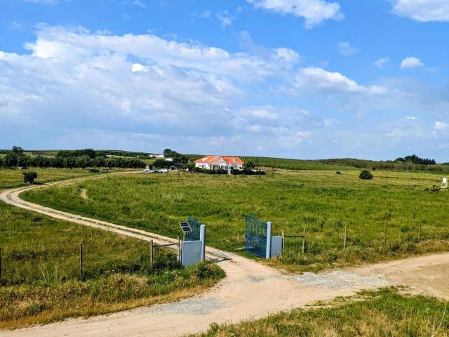 Casa venda em Bairro da Colina, Ferreira do Alentejo
