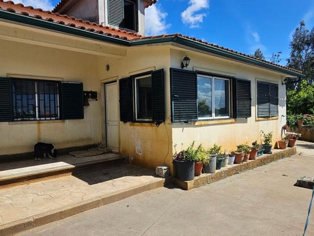 Casa venda em Rego Da Murta, Santarém