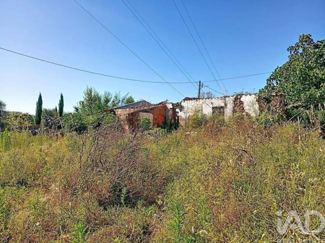 Casa venda em Rego Da Murta, Santarém
