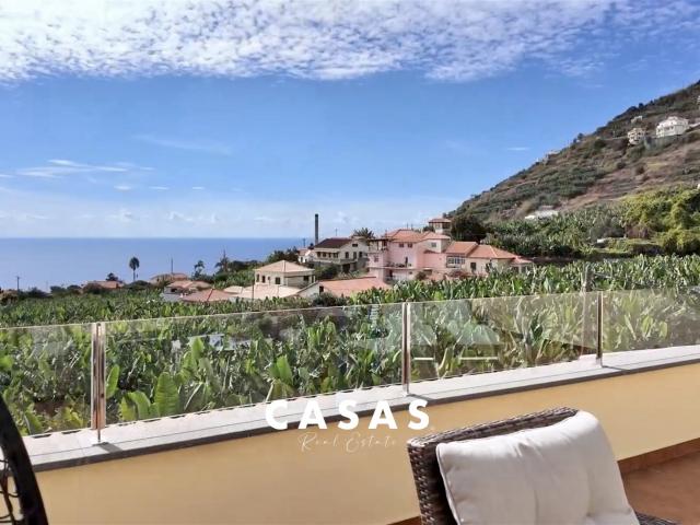 Loja venda em Ladeira e Lamaceiros, Arco Da Calheta