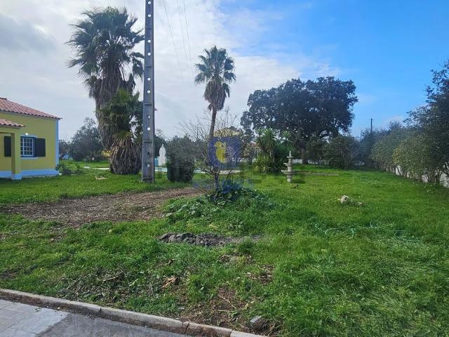 Casa venda em Cocharro, Salvaterra De Magos