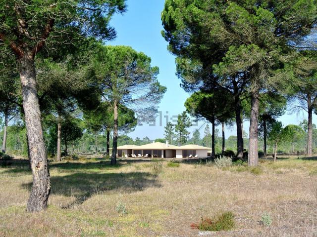 Casa venda em Grândola, Setúbal