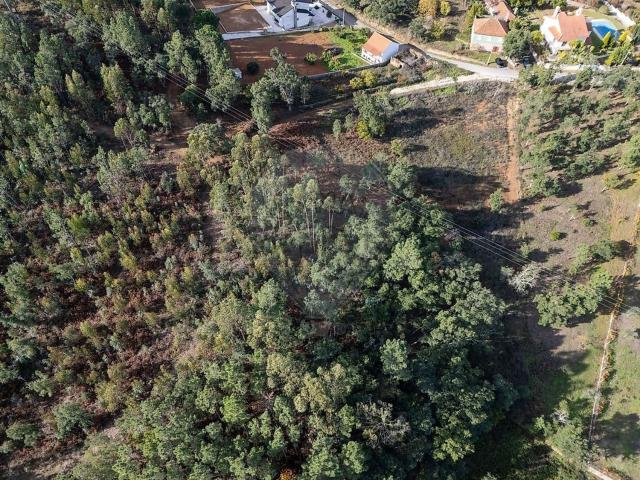 Casa venda em Rego Da Murta, Santarém
