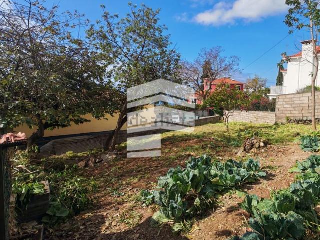 Casa venda em Imaculado Coração de Maria, Funchal