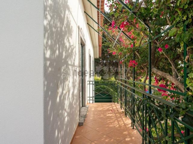 Casa alugar em Cascais, Lisboa