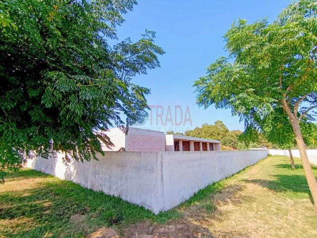Casa venda em Feira Nova, Amares