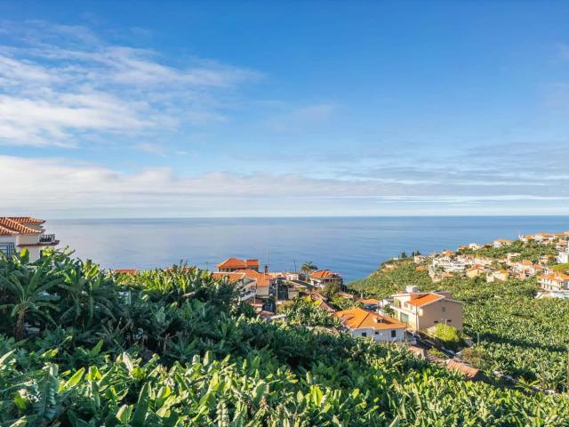 Vivenda venda em Pico da Amendoeira, Ponta Do Sol