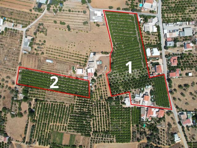 Vivenda venda em Besouro, Faro