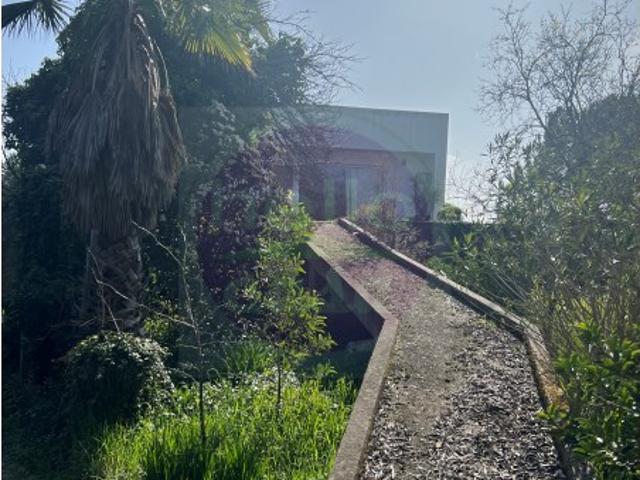 Casa venda em São Pedro De Tomar, Vermoeiros