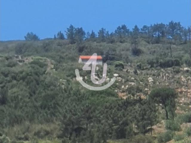 Casa venda em Pederneira, Famalicão