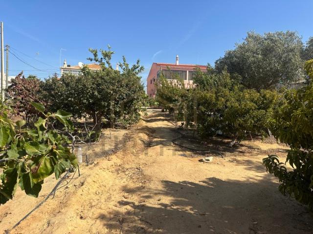 Casa venda em Faro
