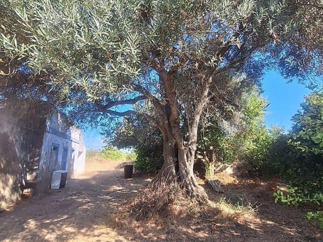 Casa venda em Luz de Tavira, Tavira