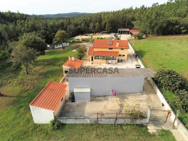 Casa venda em Coimbrã, Cernache