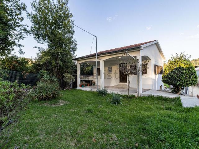 Casa venda em Oliveira De Azeméis, Aveiro