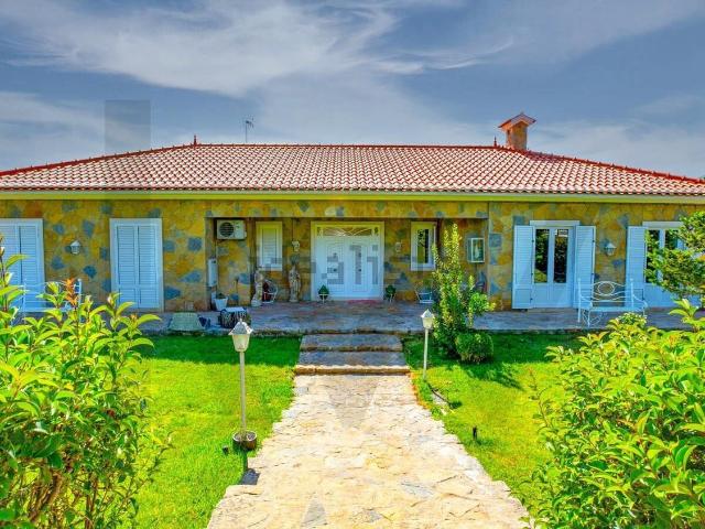 Casa venda em Madalena e Beselga, Tomar