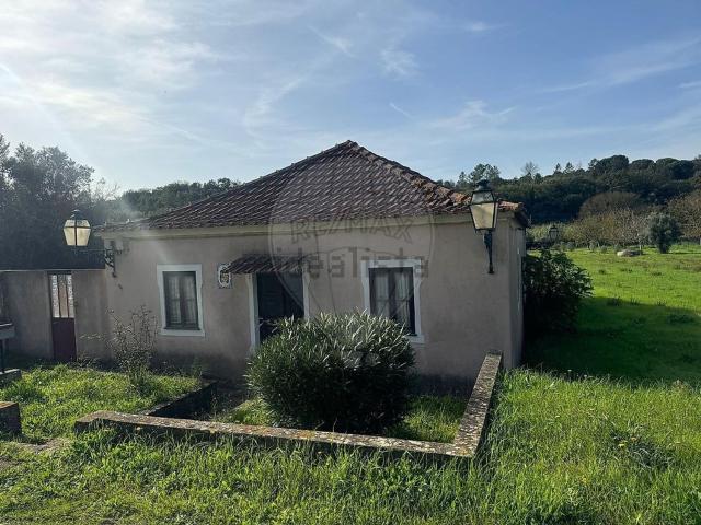 Casa venda em Madalena e Beselga, Tomar