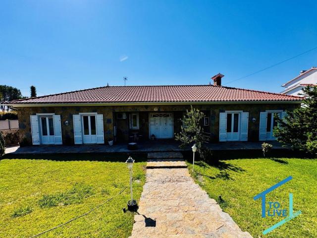 Casa venda em Madalena e Beselga, Tomar